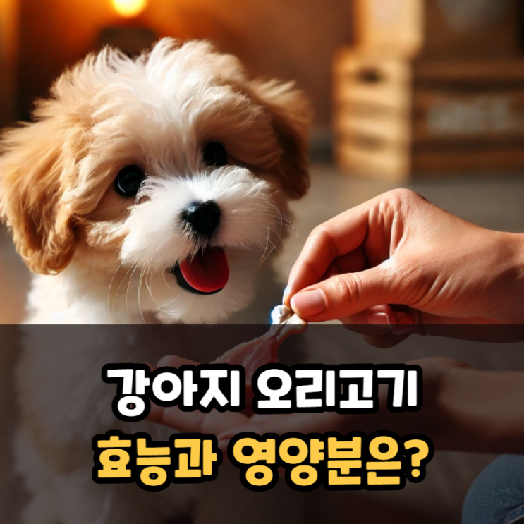  강아지 오리고기 효능과 영양분