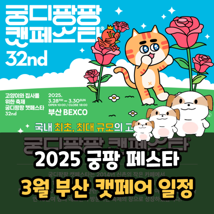  2025 궁디팡팡 캣페스타 Busan 기본정보