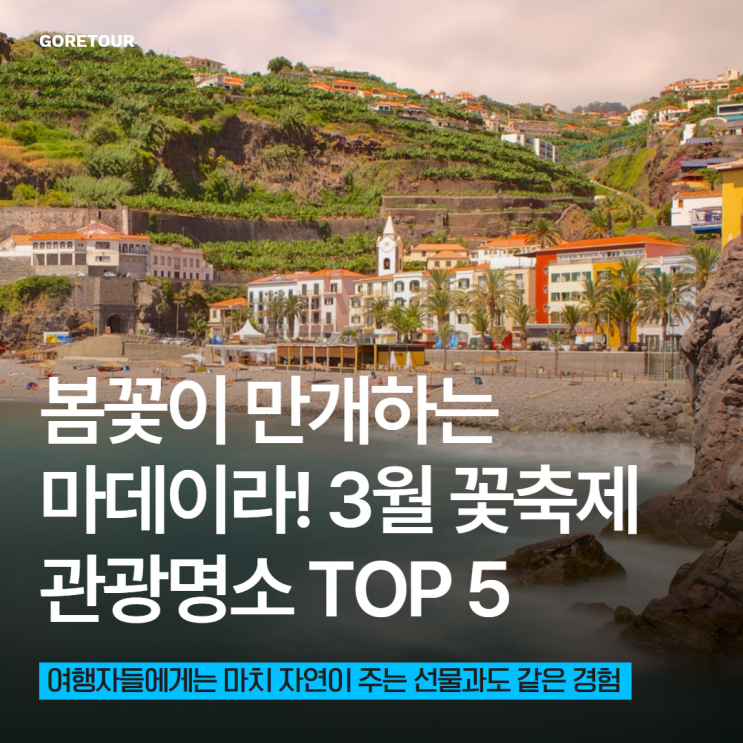  봄꽃이 만개하는 마데이라! 3월 꽃축제, 관광명소 TOP 5