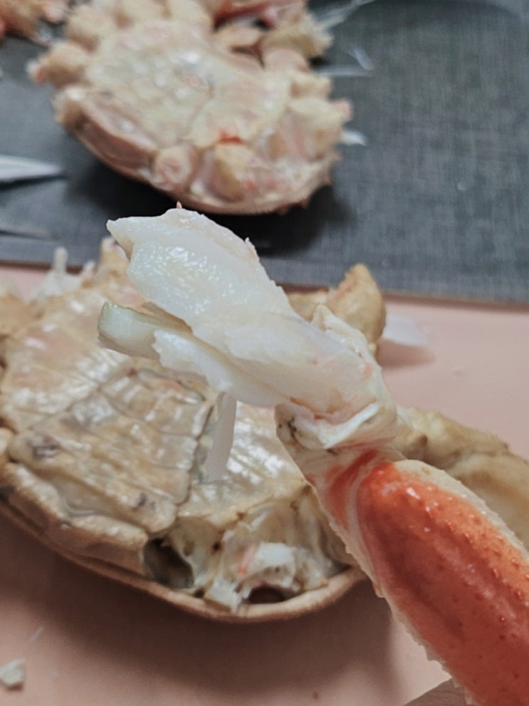  매천수산시장 대게 가성비 최고 중앙수산 13번