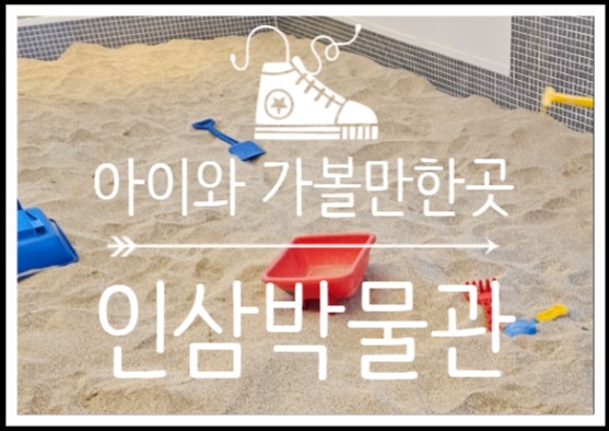  아이와 영주 여행 필수 코스! 영주인삼박물관 무료입장 & 체험 정보