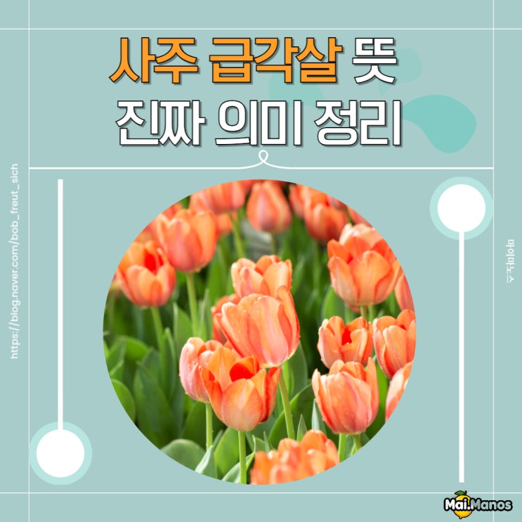 사주 급각살 뜻 팔다리를 제대로 못쓰는 살 맞아? 진짜 의미 정리