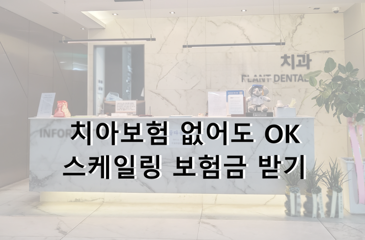  치아보험 없어도 OK! 일반 보험으로 스케일링 보험금 받기