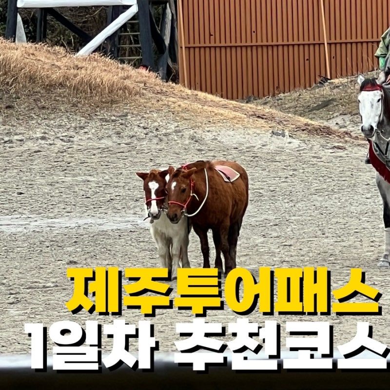 제주투어패스 여행 1일차 코스추천 더마파크 외 5가지 이용후기