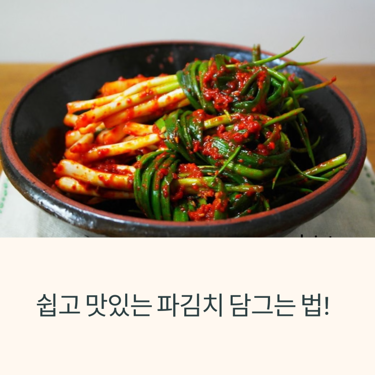  쉽고 맛있는 파김치 담그는 법! 초보도 실패 없이 만드는 초간단 레시피 & 꿀팁 대방출