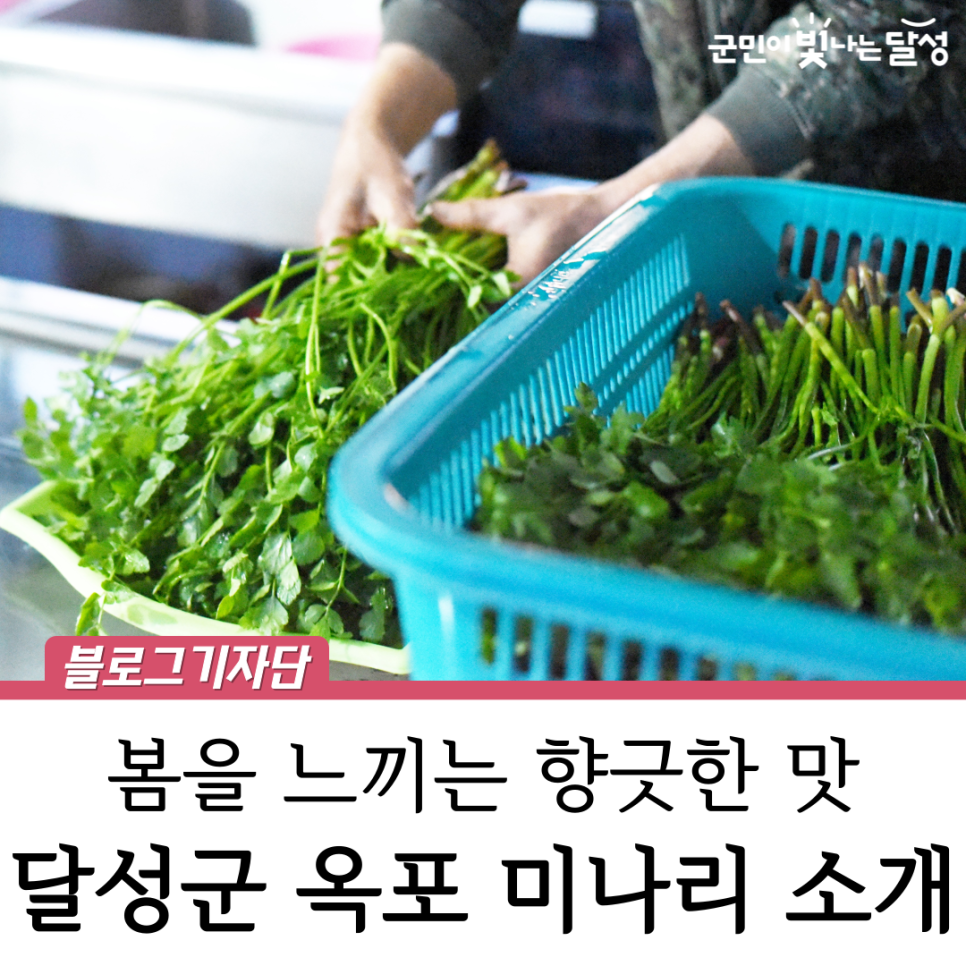옥포창우한방미나리 사진 1