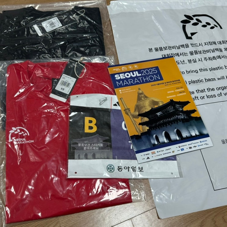 <b>2025 서울마라톤</b> 코스 일정 기념품 교통 통제 10km 참가