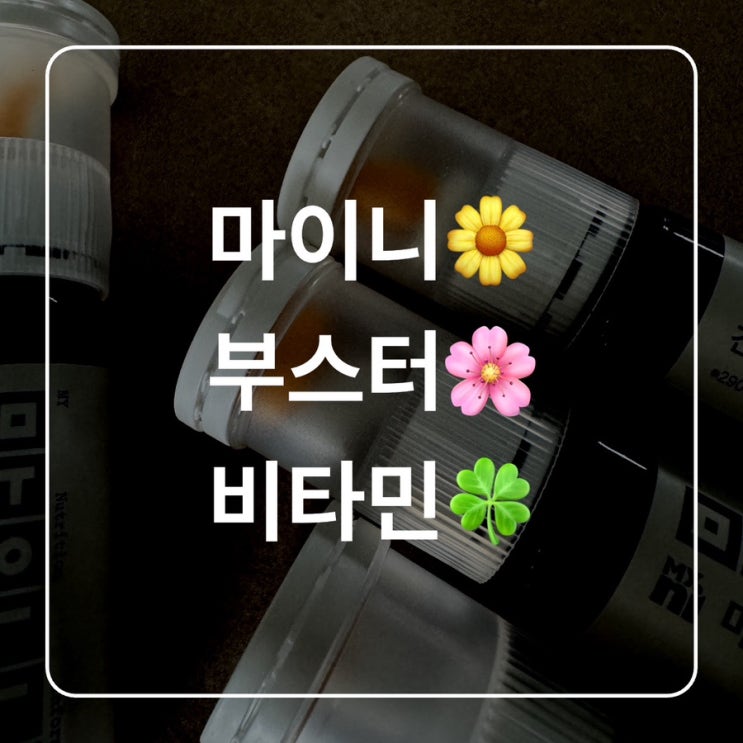  [내돈 내산] 마이니 부스터 비타민