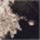 [일본여행 준비] :: ✨ 무조건 한 번은 쓰게 되는 일본여행 기본 중의 기본앱! Google Maps, Papago, 카드 리더