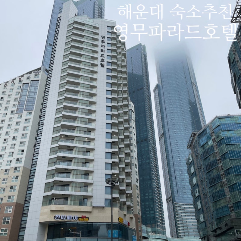 사진 9