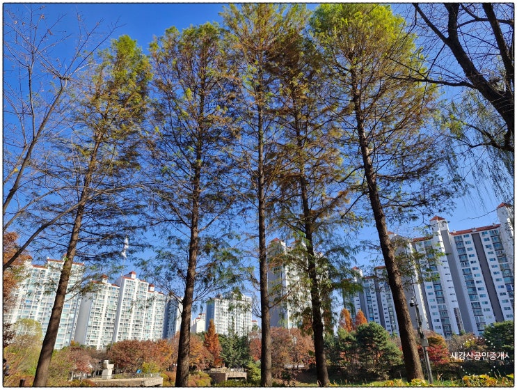 강산이 한 번 변했다. 새강산은?
