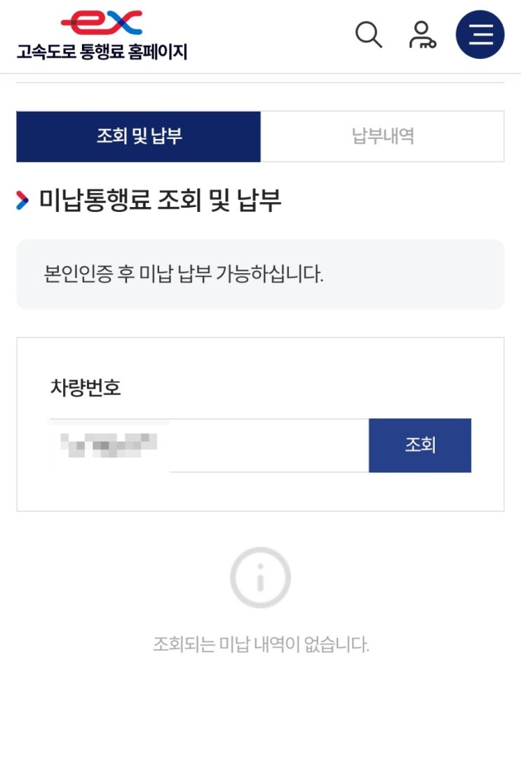  고속도로 통행료 미납 조회 안 뜰 때 납부 방법, 후기