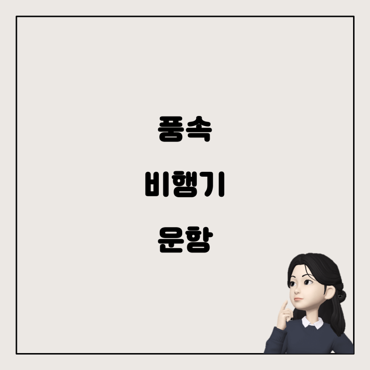  비행기 운항에 영향을 미치는 풍속, 이해하기