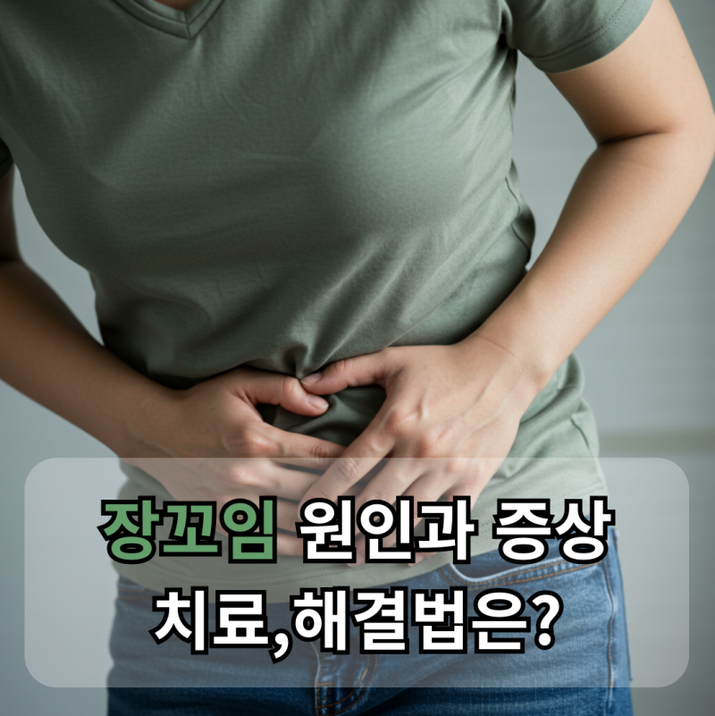 장꼬임 원인과 증상, 치료 및 해결법! 응급실 방문 기준은?