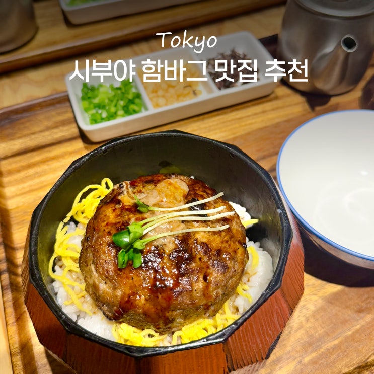  도쿄 시부야 맛집 히키니쿠노토리코 함바그 추천 후기