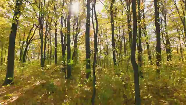  부동산학개론 , 부동산권리분석사 2주 만에 취득한 노하우