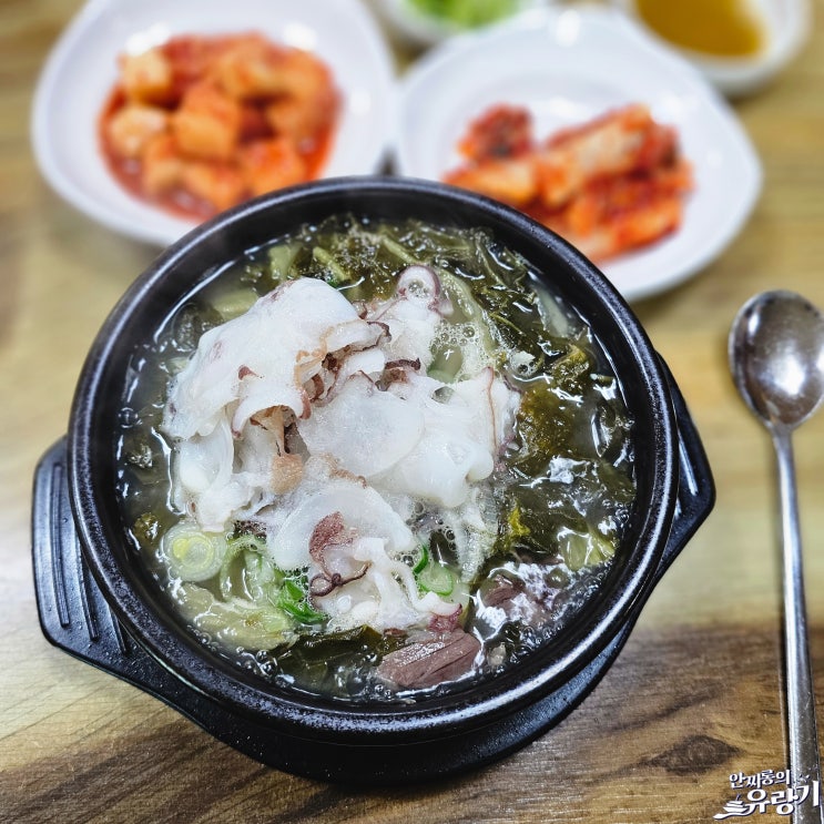  속초 문어국밥 한우와 문어숙회의 만남 속초 해장국