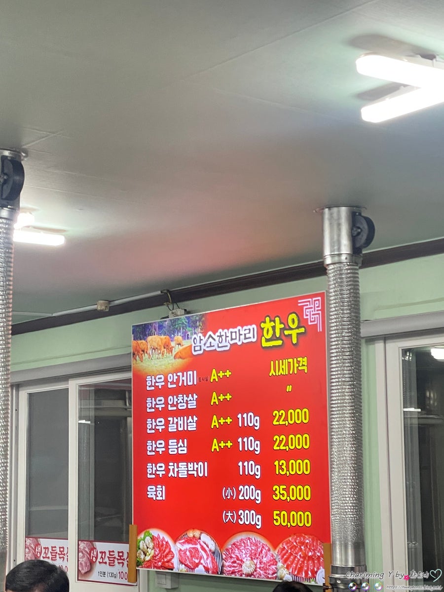 암돼지한마리 암소한마리 사진 3