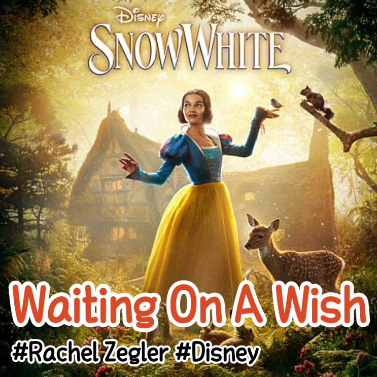  [팝송영어공부] Rachel Zegler, Disney - Waiting On A Wish (From "Disney's Snow White") 뮤비/가사/해석/단어