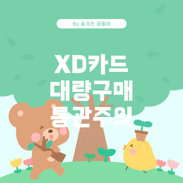  XD카드 대량 직구 시 전파법 및 통관 문제 해결하기