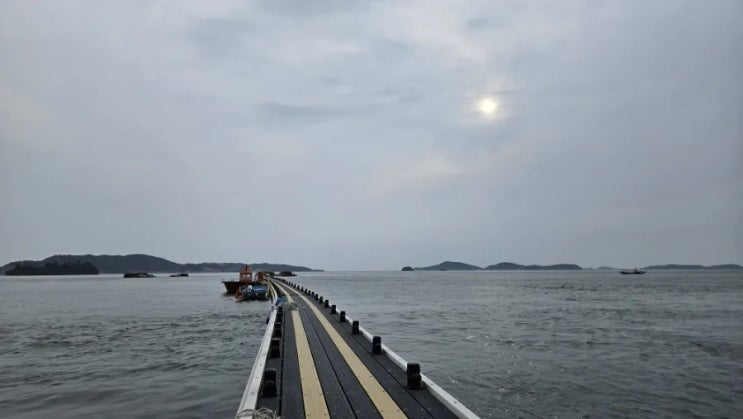  태안 여행 완전 정복하기