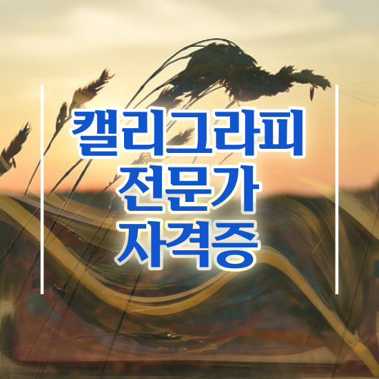  부산 캘리그라피 자격증 , 온라인으로 취득한 과정 , 이후 전망