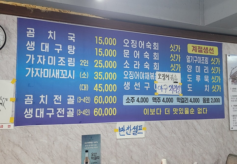 동해곰치 사진 5