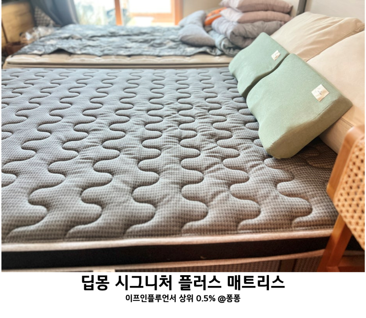  가성비 매트리스 브랜드 딥몽 시그니처 플러스 퀸사이즈 단단한 하드 매트리스 추천