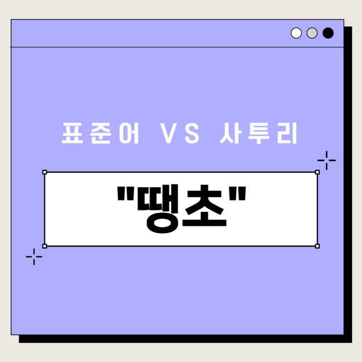 청양고추 경상도 사투리 "땡초" 청양고추 경상도 사투리 "땡초"