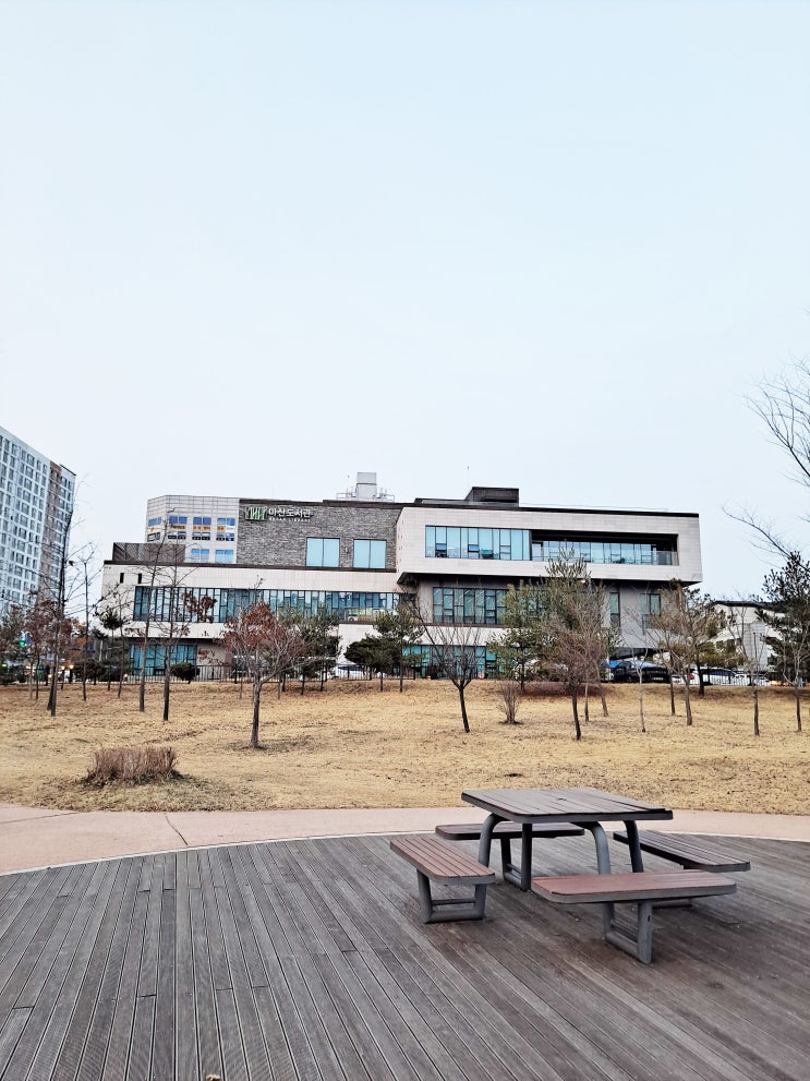  책과 함께한 따뜻한 봄날의 오후