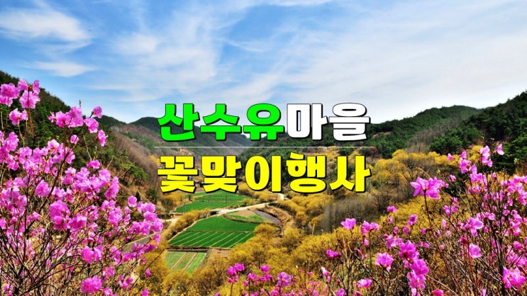 경북 의성군 3월축제 가볼만한곳 · 2025 의성 산수유마을 꽃맞이행사 기본정보 초대가수 개화시기 경북 의성군 3월축제 가볼만한곳 · 2025 의성 산수유마을 꽃맞이행사 기본정보 초대가수 개화시기