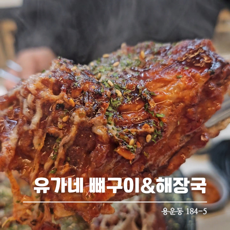  대전뼈구이맛집 유가네뼈구이해장국 가성비 좋은 맛집