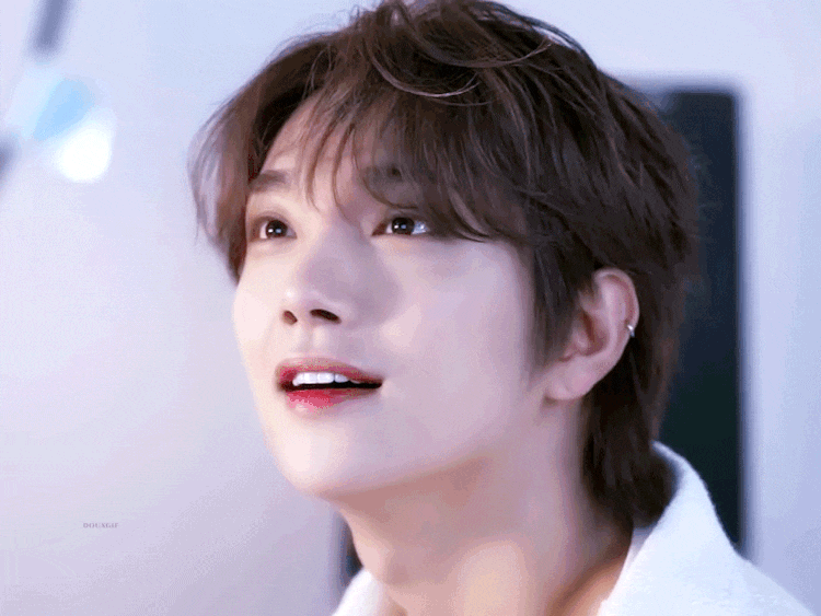 웅냥의 세븐틴 빙의글 추천_!(1)