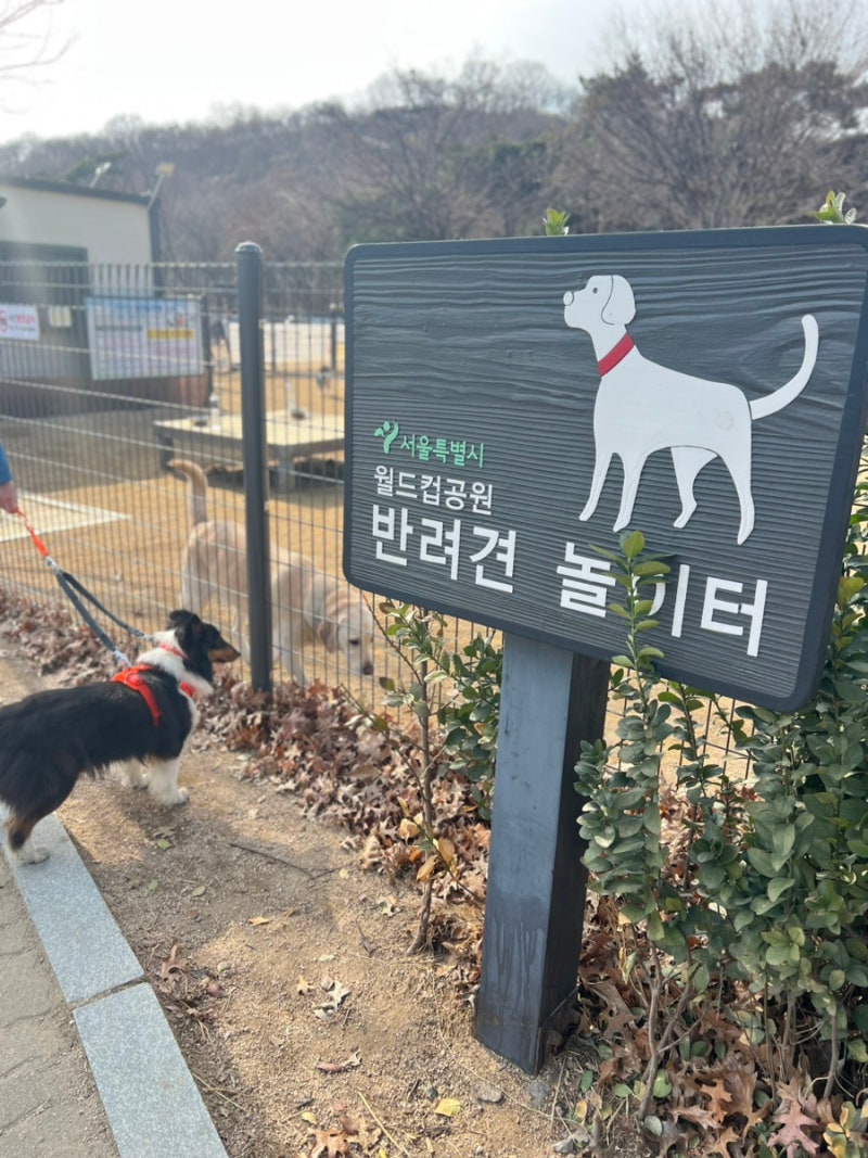 사진 9