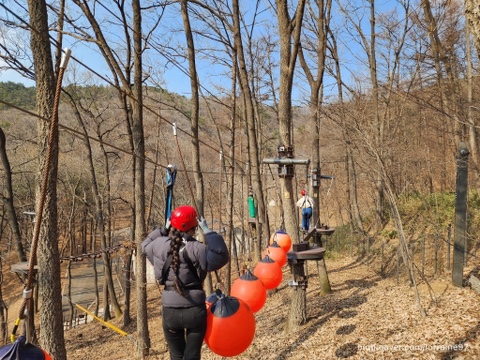  천안 태조산 산림레포츠 단지에서 숲모험 즐기기! (서울 근교 액티비티)