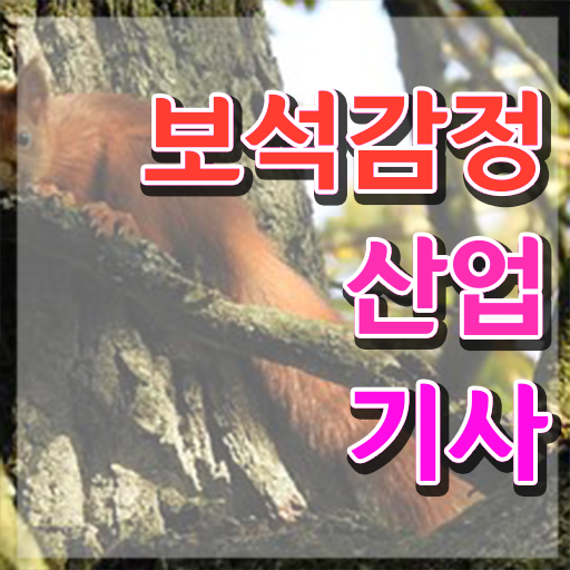  보석감정산업기사 응시조건 온라인으로 간단하게 준비한 후기
