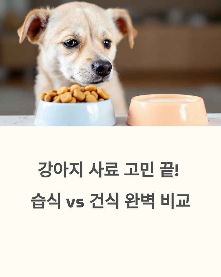  강아지 사료 선택 고민 끝! 습식 vs 건식 완벽 비교 분석
