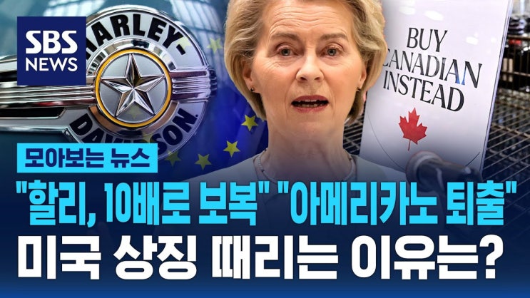"할리, 10배로 보복" "아메리카노 퇴출"...관세전쟁에 미국 상징 때리기 "할리, 10배로 보복" "아메리카노 퇴출"...관세전쟁에 미국 상징 때리기