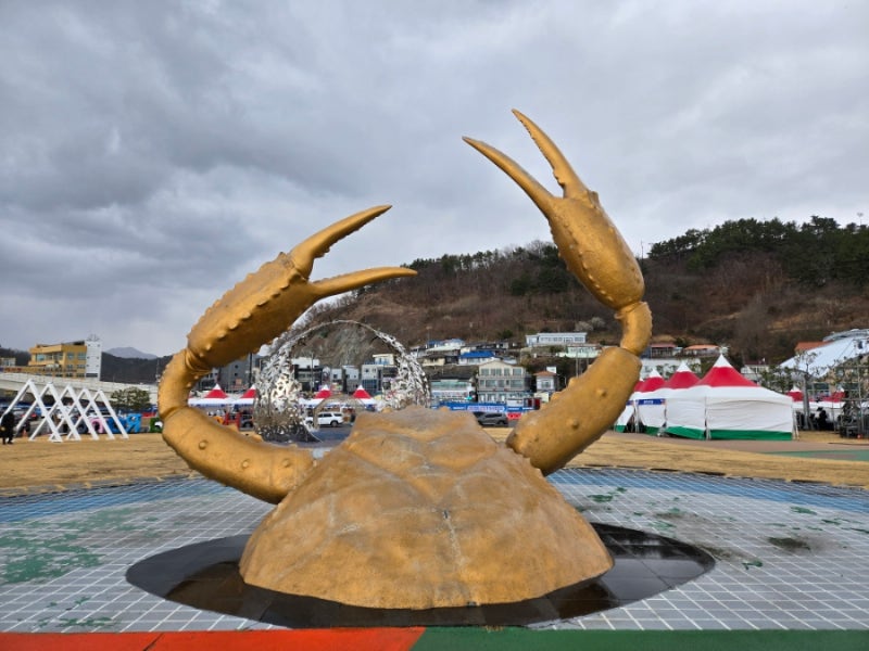 2025 영덕대게축제 다녀온 후기(feat. 내돈내산, 영덕대게축제 가수, 대게 싸게 먹는법, 체험꿀....
