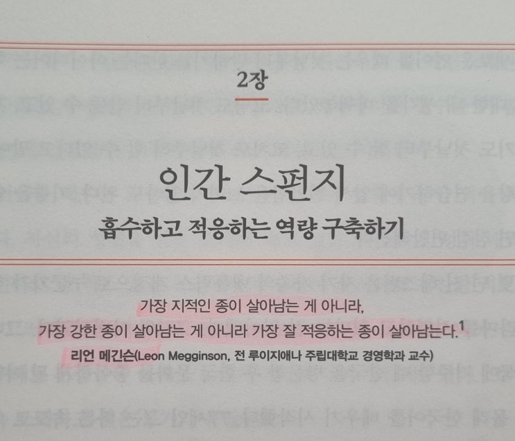  인간 스펀지 흡수하고 적응하는 역량 구축하기 히든 포텐셜