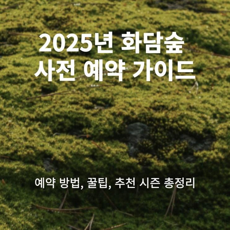  2025년 화담숲