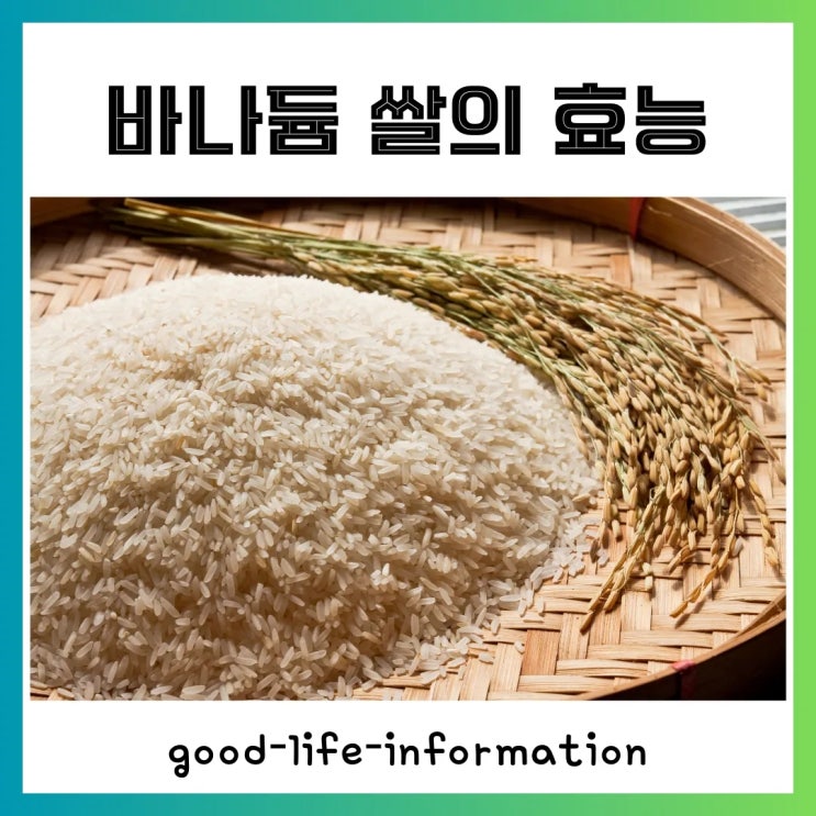 고혈당 비만 탈출! 바나듐 쌀이 답이다. 고혈당 비만 탈출! 바나듐 쌀이 답이다.