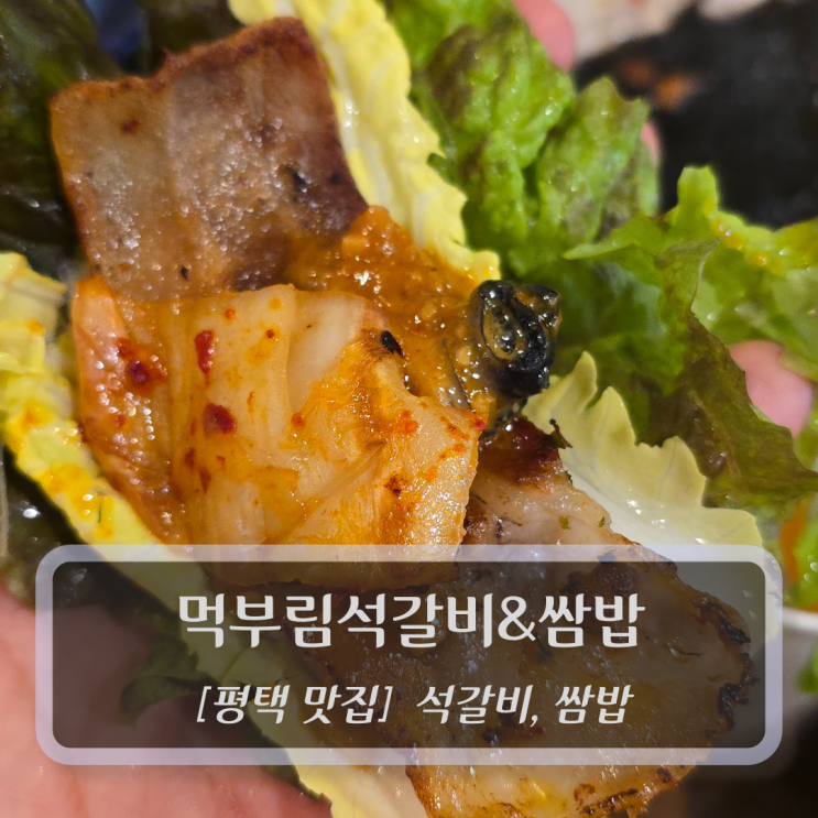  평택시청맛집 :: 먹부림석갈비&쌈밥 - 쌈밥맛집