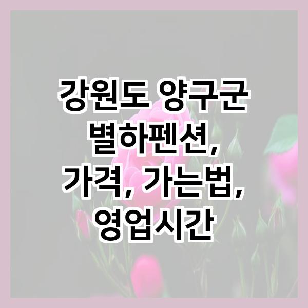 별하펜션 사진 1