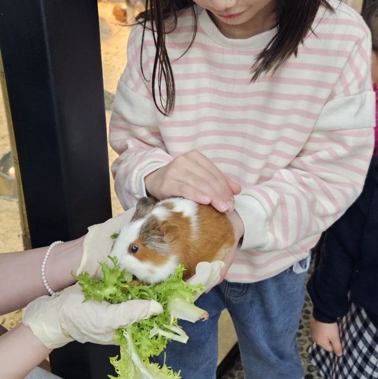  양산 아이와 리틀 히어로 ZOO 키즈카페 양산점