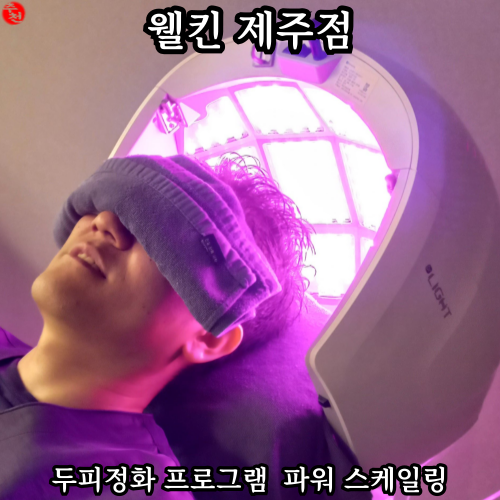 제주 두피 케어 전문 웰킨 제주점 파워 스케일링 경험담
