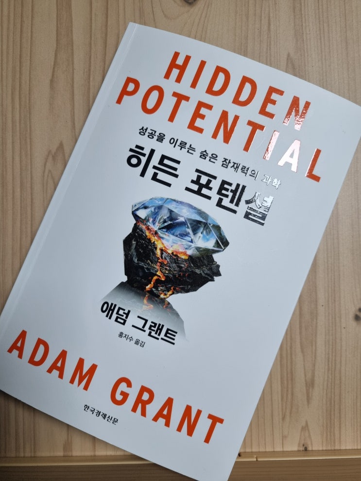  성공을 이루는 숨은 잠재력의 과학 히든 포텐셜
