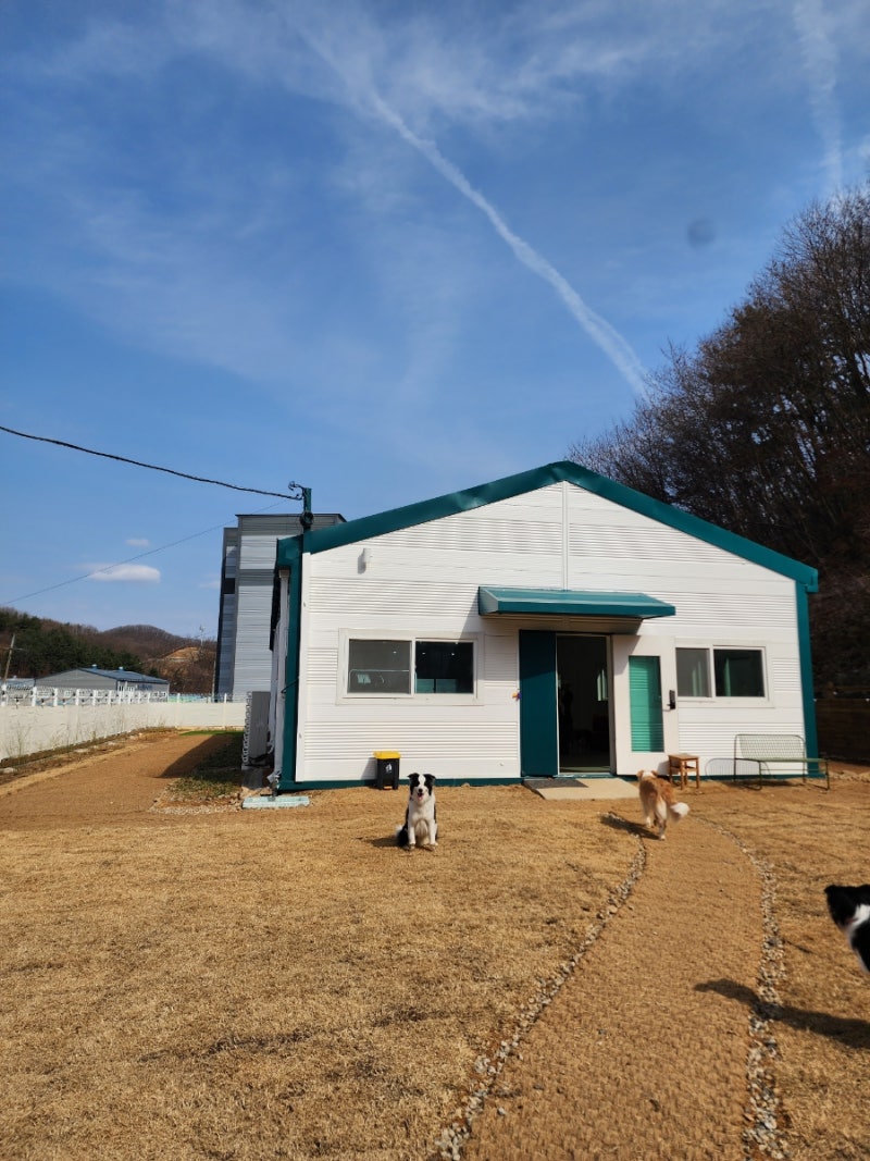 사진 2