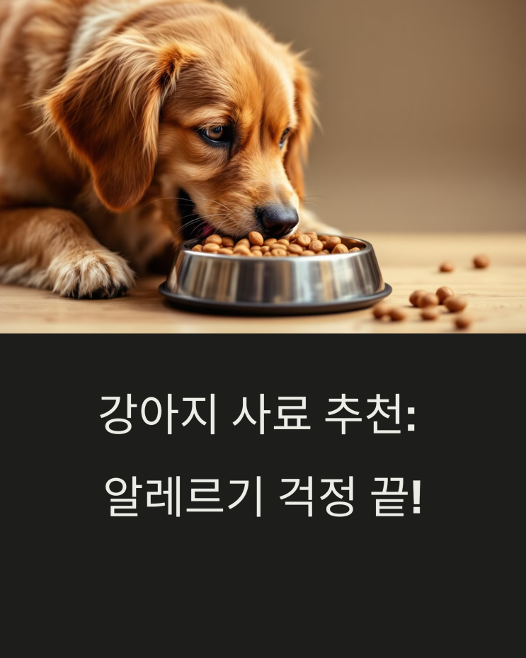  강아지 사료 추천: 알레르기 걱정 끝! 3년 찐 후 기 & 꿀팁 대방출
