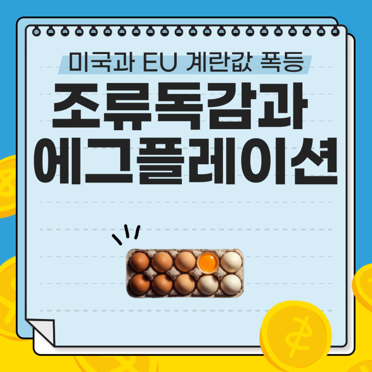  2025년 계란 가격 급등: 조류독감과 에그플레이션